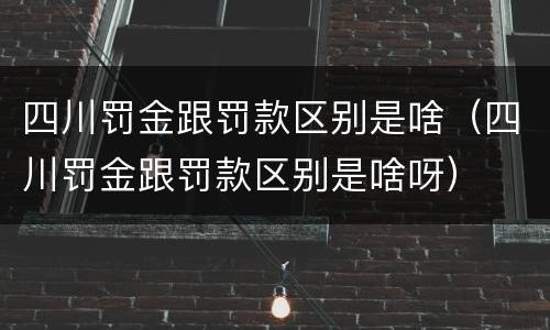 四川罚金跟罚款区别是啥（四川罚金跟罚款区别是啥呀）