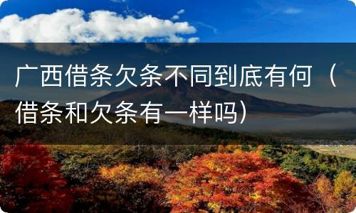 广西借条欠条不同到底有何（借条和欠条有一样吗）