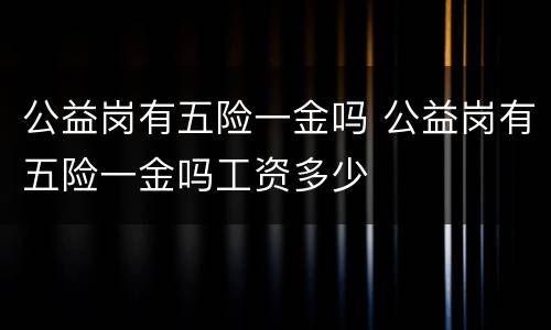 公益岗有五险一金吗 公益岗有五险一金吗工资多少