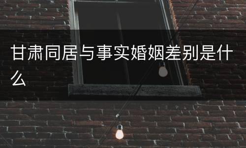 甘肃同居与事实婚姻差别是什么