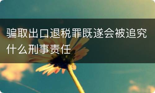 骗取出口退税罪既遂会被追究什么刑事责任