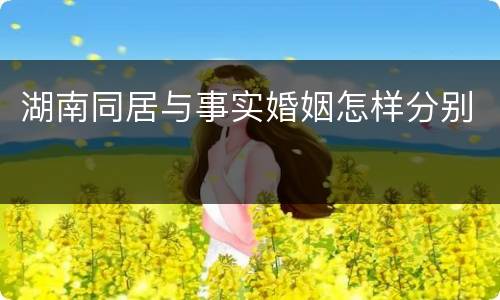 湖南同居与事实婚姻怎样分别