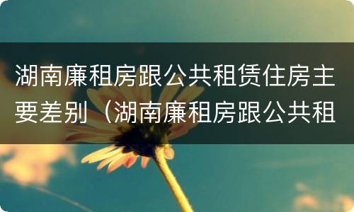 湖南廉租房跟公共租赁住房主要差别（湖南廉租房跟公共租赁住房主要差别在哪）