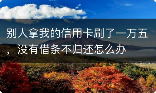 别人拿我的信用卡刷了一万五，没有借条不归还怎么办