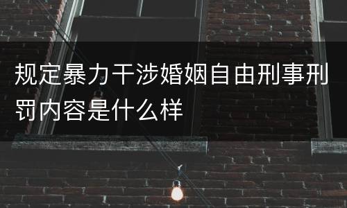规定暴力干涉婚姻自由刑事刑罚内容是什么样