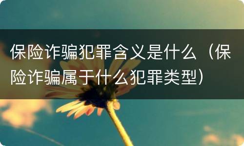 保险诈骗犯罪含义是什么（保险诈骗属于什么犯罪类型）