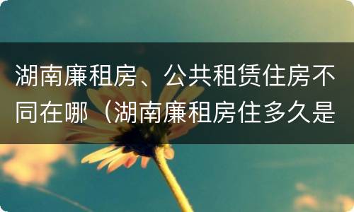 湖南廉租房、公共租赁住房不同在哪（湖南廉租房住多久是自己的）