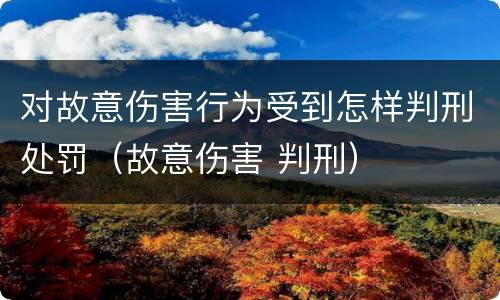 对故意伤害行为受到怎样判刑处罚（故意伤害 判刑）