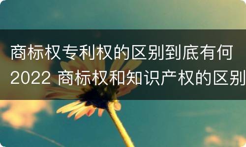 商标权专利权的区别到底有何2022 商标权和知识产权的区别