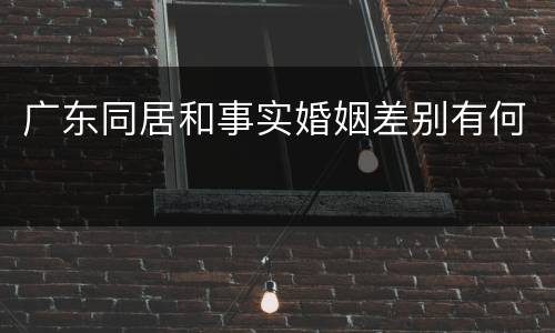 广东同居和事实婚姻差别有何