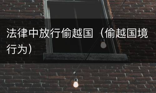 法律中放行偷越国（偷越国境行为）