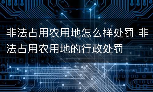 非法占用农用地怎么样处罚 非法占用农用地的行政处罚