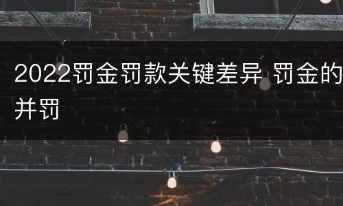 2022罚金罚款关键差异 罚金的并罚