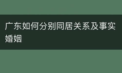 广东如何分别同居关系及事实婚姻