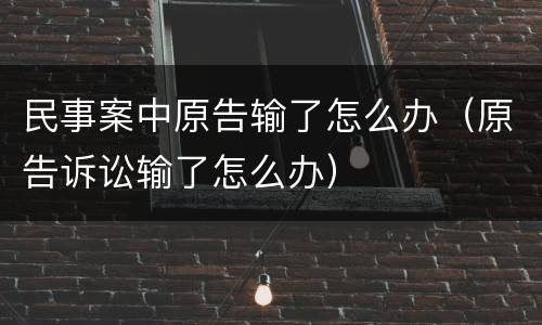 民事案中原告输了怎么办（原告诉讼输了怎么办）
