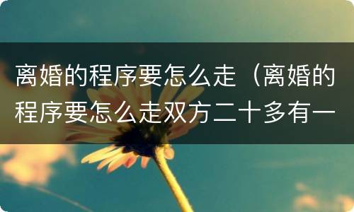 离婚的程序要怎么走（离婚的程序要怎么走双方二十多有一个小男孩归谁抚养）