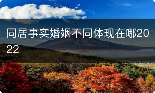 同居事实婚姻不同体现在哪2022