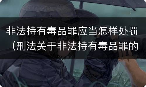 非法持有毒品罪应当怎样处罚（刑法关于非法持有毒品罪的规定）