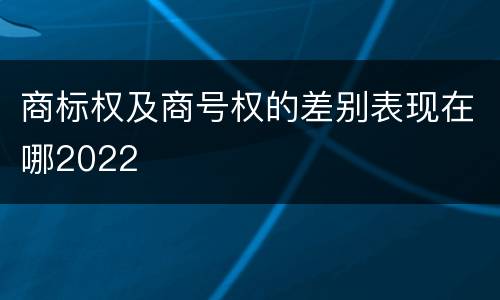 商标权及商号权的差别表现在哪2022