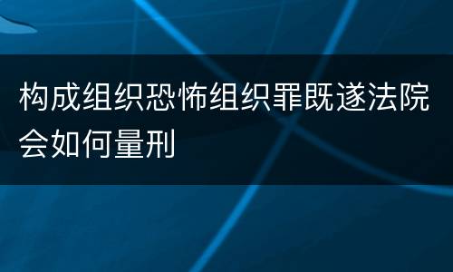 构成组织恐怖组织罪既遂法院会如何量刑