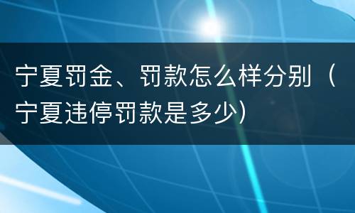 宁夏罚金、罚款怎么样分别（宁夏违停罚款是多少）