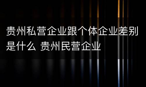 贵州私营企业跟个体企业差别是什么 贵州民营企业