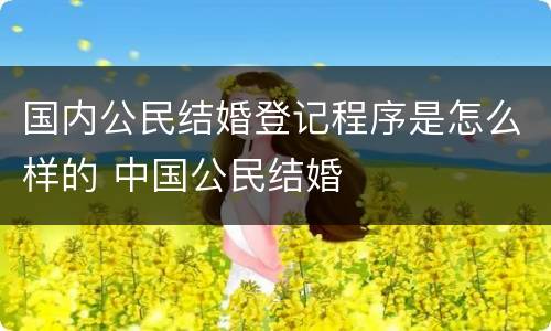 国内公民结婚登记程序是怎么样的 中国公民结婚