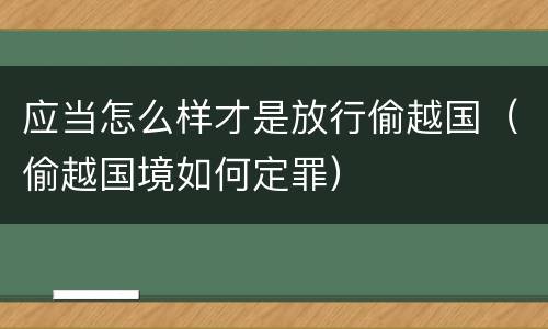 应当怎么样才是放行偷越国（偷越国境如何定罪）