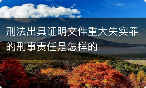 刑法出具证明文件重大失实罪的刑事责任是怎样的