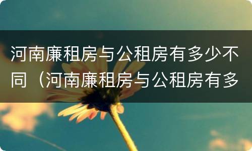 河南廉租房与公租房有多少不同（河南廉租房与公租房有多少不同的地方）