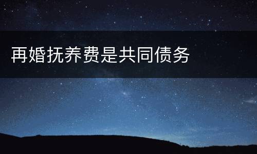 再婚抚养费是共同债务