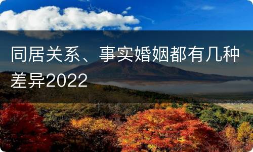 同居关系、事实婚姻都有几种差异2022