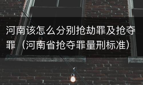 河南该怎么分别抢劫罪及抢夺罪（河南省抢夺罪量刑标准）