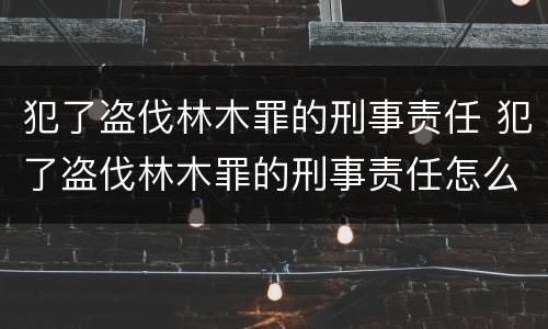 犯了盗伐林木罪的刑事责任 犯了盗伐林木罪的刑事责任怎么判