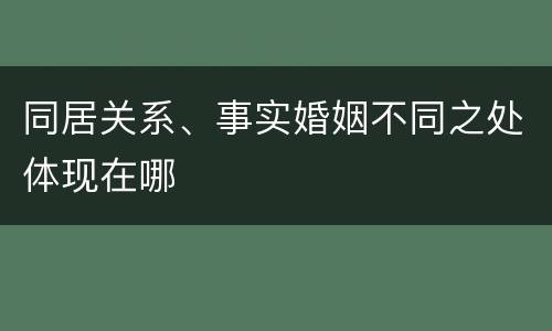 同居关系、事实婚姻不同之处体现在哪