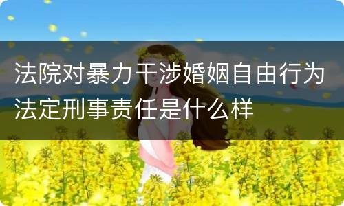 法院对暴力干涉婚姻自由行为法定刑事责任是什么样