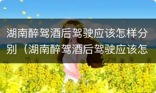 湖南醉驾酒后驾驶应该怎样分别（湖南醉驾酒后驾驶应该怎样分别处罚）