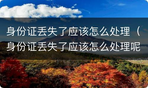 身份证丢失了应该怎么处理（身份证丢失了应该怎么处理呢）