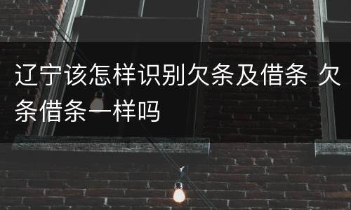 辽宁该怎样识别欠条及借条 欠条借条一样吗