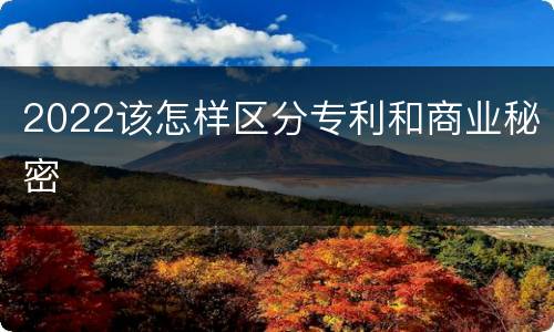 2022该怎样区分专利和商业秘密