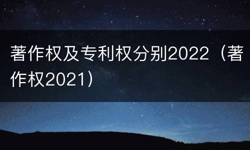 著作权及专利权分别2022（著作权2021）