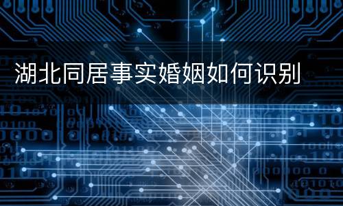 湖北同居事实婚姻如何识别