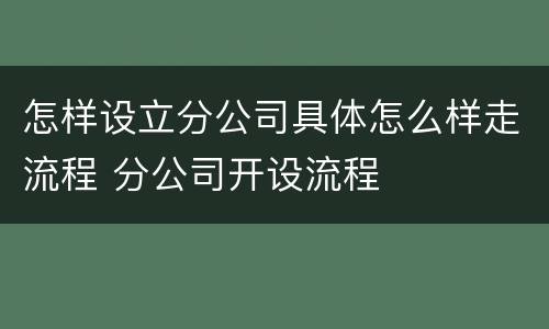 怎样设立分公司具体怎么样走流程 分公司开设流程