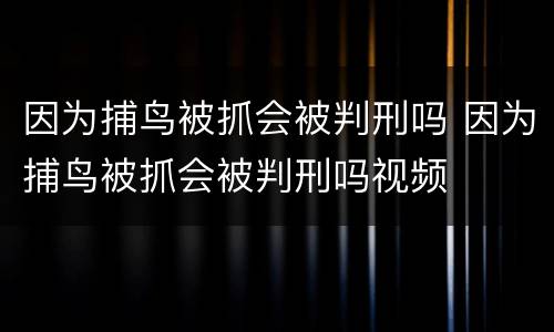 因为捕鸟被抓会被判刑吗 因为捕鸟被抓会被判刑吗视频