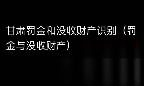 甘肃罚金和没收财产识别（罚金与没收财产）