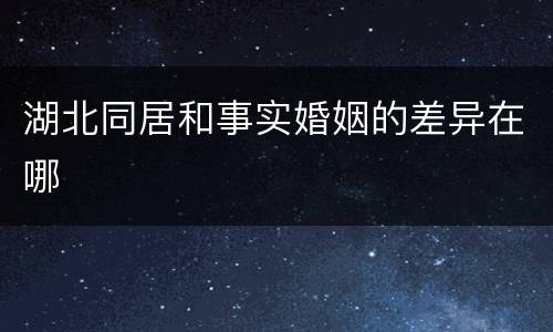 湖北同居和事实婚姻的差异在哪