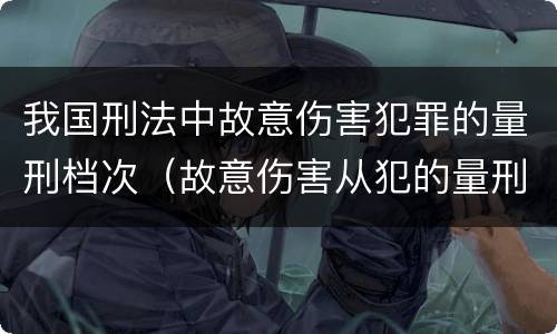 我国刑法中故意伤害犯罪的量刑档次（故意伤害从犯的量刑标准）