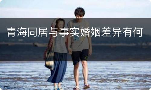 青海同居与事实婚姻差异有何