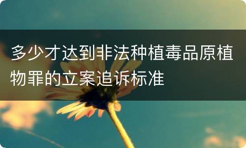 多少才达到非法种植毒品原植物罪的立案追诉标准
