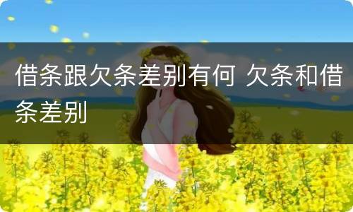 借条跟欠条差别有何 欠条和借条差别